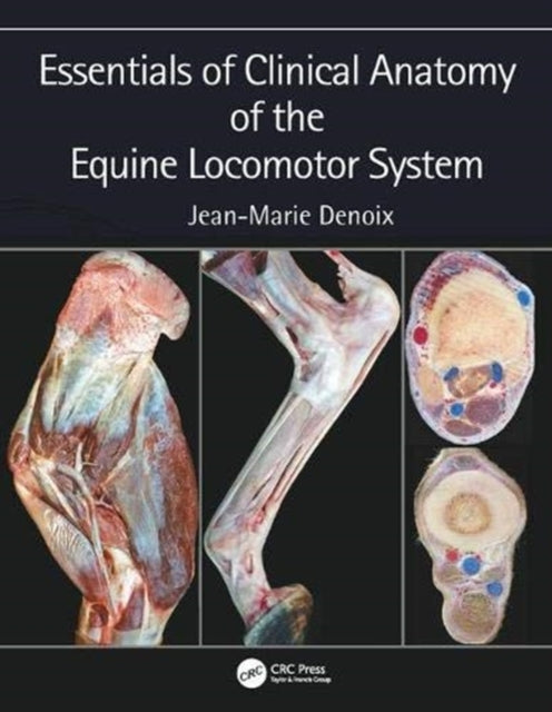 Essentials of Clinical Anatomy of the Equine Locomotor System