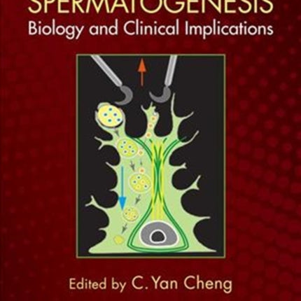 Spermatogenesis: Biology and Clinical Implications