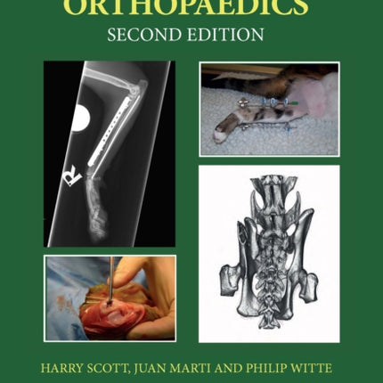 Feline Orthopaedics