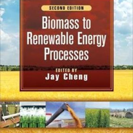 Biomass to Renewable Energy Processes