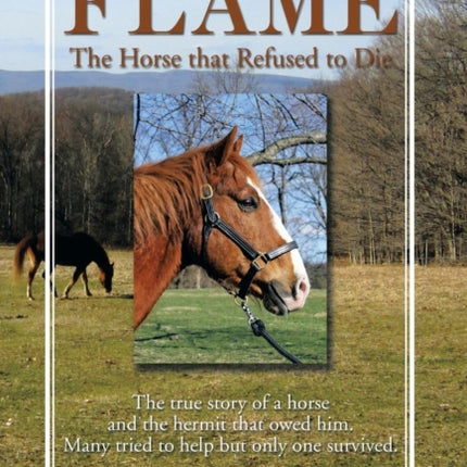 Flame  The Horse That Refused to Die