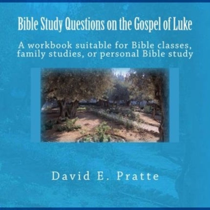 Bible Study Questions on the Gospel of Luke A workbook suitable for Bible classes family studies or personal Bible study