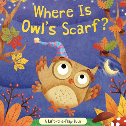 Where Is Owl's Scarf?: A Lift-The-Flap Book