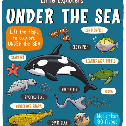 Little Explorers: Under the Sea