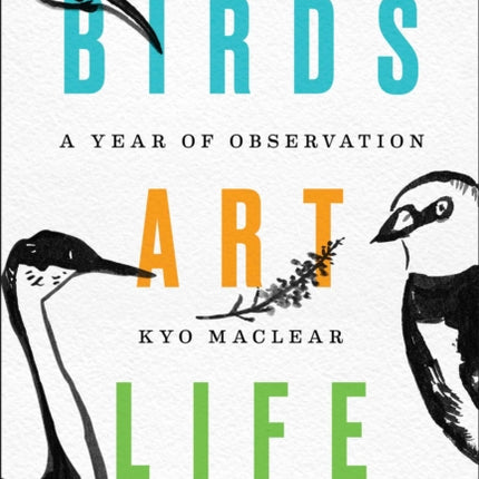 Birds Art Life: A Year of Observation