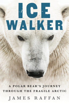 Ice Walker