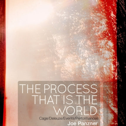 The Process That Is the World