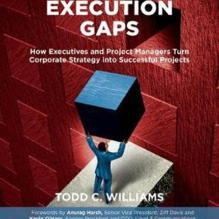 Filling Execution Gaps: How Executives and Project Managers Turn Corporate Strategy into Successful Projects