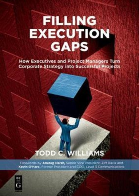 Filling Execution Gaps: How Executives and Project Managers Turn Corporate Strategy into Successful Projects