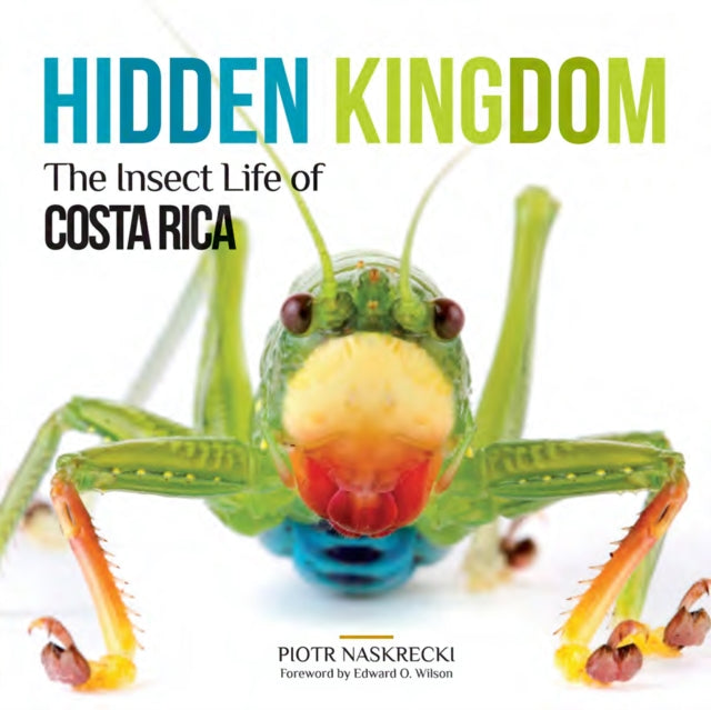 Hidden Kingdom: The Insect Life of Costa Rica