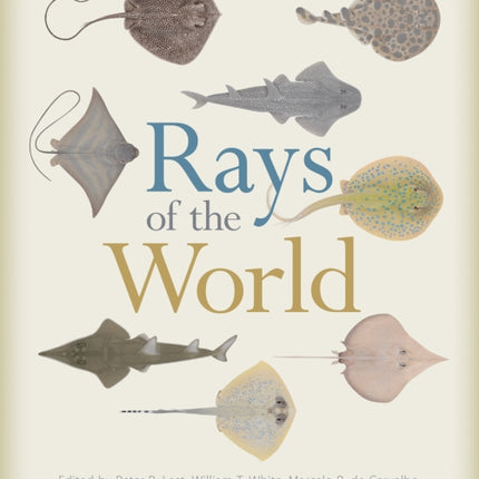 Rays of the World