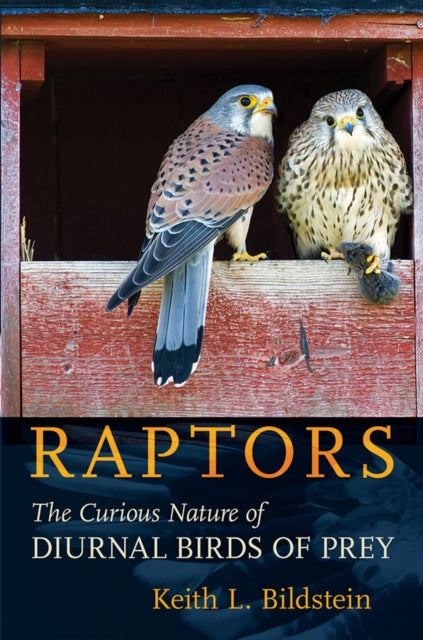 Raptors: The Curious Nature of Diurnal Birds of Prey