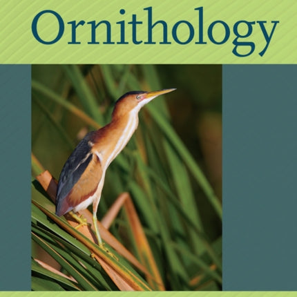 Urban Ornithology