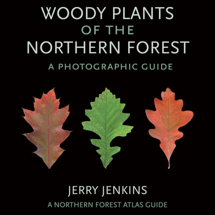 Woody Plants of the Northern Forest