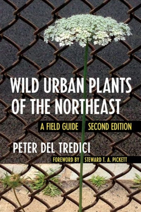 Wild Urban Plants of the Northeast: A Field Guide