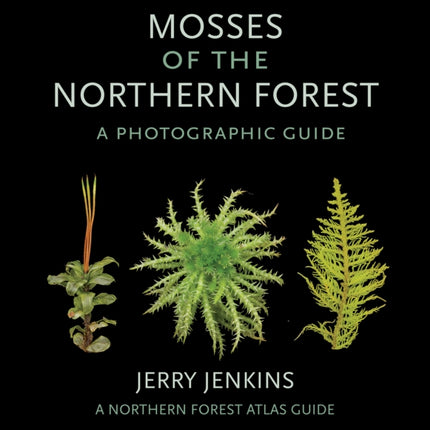 Mosses of the Northern Forest: A Photographic Guide