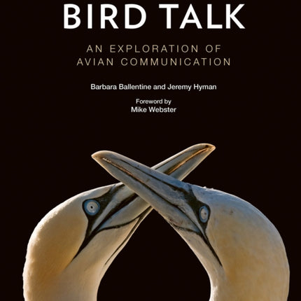 Bird Talk: An Exploration of Avian Communication