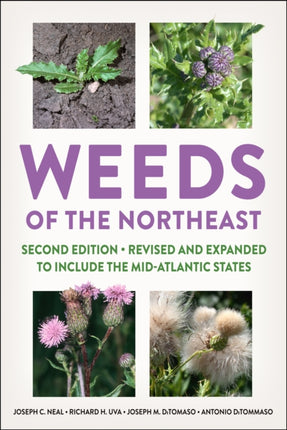 Weeds of the Northeast