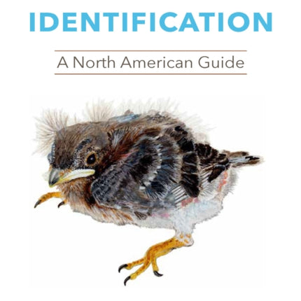 Baby Bird Identification: A North American Guide