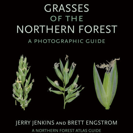 Grasses of the Northern Forest: A Photographic Guide