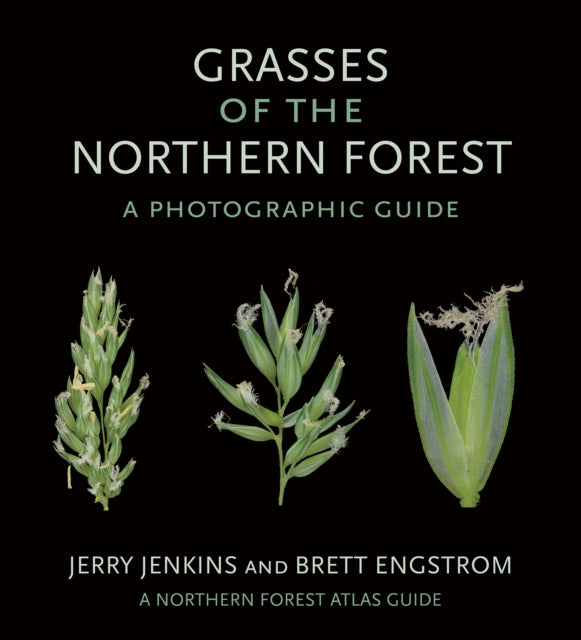 Grasses of the Northern Forest: A Photographic Guide