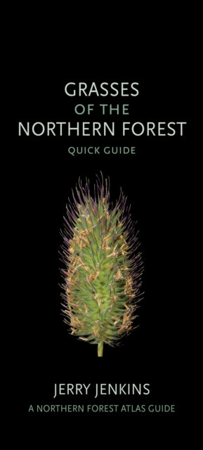 Grasses of the Northern Forest: Quick Guide