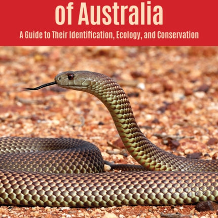 Dangerous Snakes of Australia