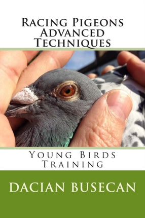 Racing Pigeons Advanced Techniques Young Birds Training