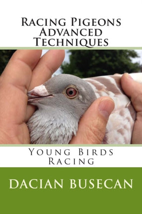 Racing Pigeons Advanced Techniques Young Birds Racing