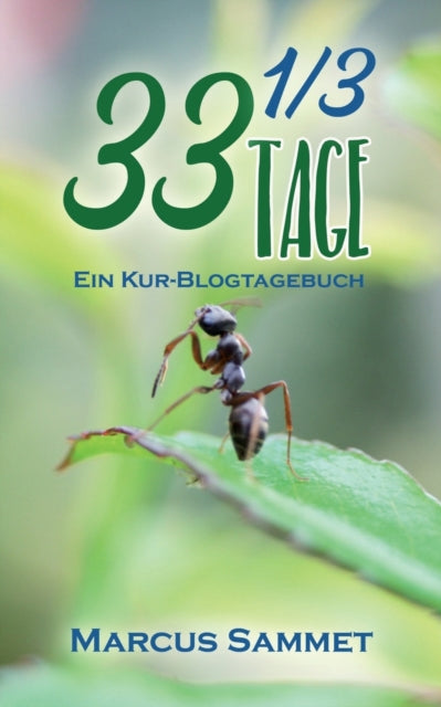 33 1/3 Tage: Ein Kur-Blog