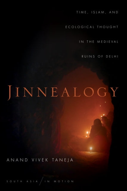 Jinnealogy: Time, Islam, and Ecological Thought in the Medieval Ruins of Delhi