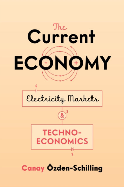 The Current Economy: Electricity Markets and Techno-Economics