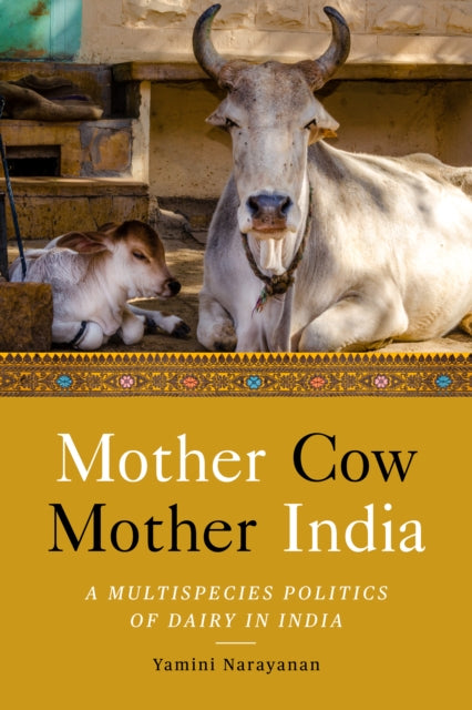 Mother Cow, Mother India: A Multispecies Politics of Dairy in India