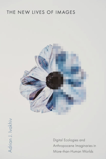 The New Lives of Images  Digital Ecologies and Anthropocene Imaginaries in MorethanHuman Worlds
