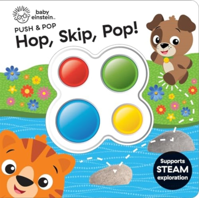 Baby Einstein Skip Hop Pop Push  Pop