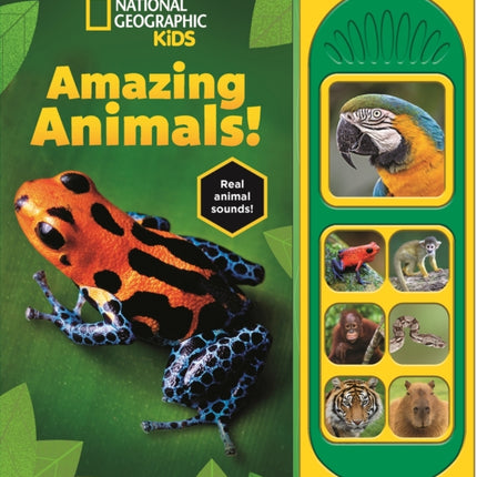 National Geographic Kids Amazing Animals Sound