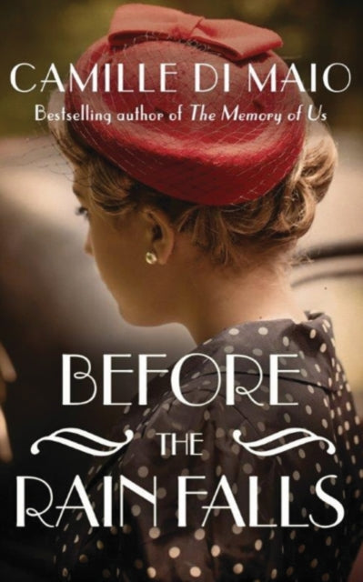 Before the Rain Falls: A Novel