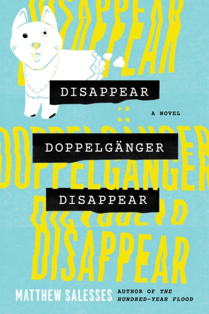 Disappear Doppelgänger Disappear: A Novel