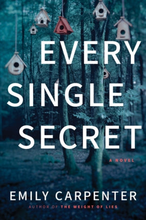 Every Single Secret: A Novel