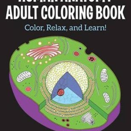 Human Anatomy Adult Coloring Book