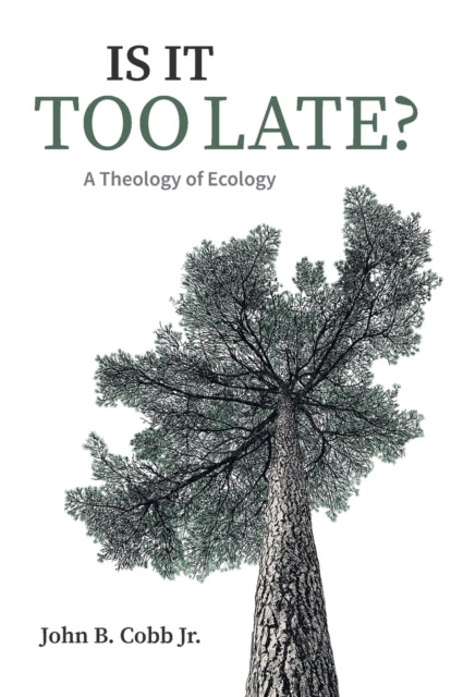 Is It Too Late?: A Theology of Ecology