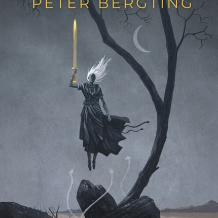 The Art Of Peter Bergting