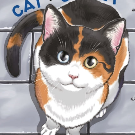 Cat  Crazy Volume 2