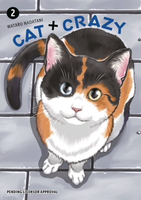 Cat  Crazy Volume 2
