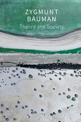 Theory and Society Selected Writings Volume 3