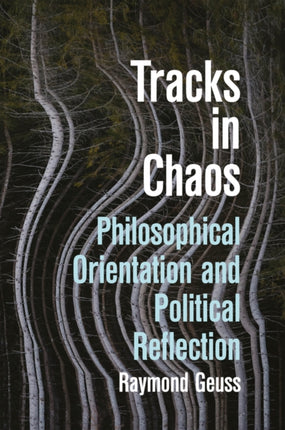 Tracks in Chaos Philosophical Orientation and Pol itical Reflection