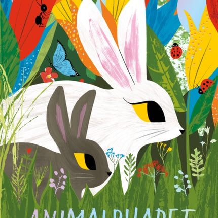 Animalphabet: A lift-the-flap ABC book from the author of The Gruffalo