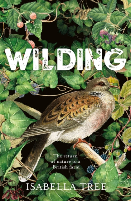 Wilding: The Return of Nature to a British Farm