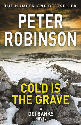 Cold is the Grave: The 11th novel in the number one bestselling Inspector Alan Banks crime series