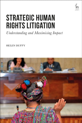 Strategic Human Rights Litigation: Understanding